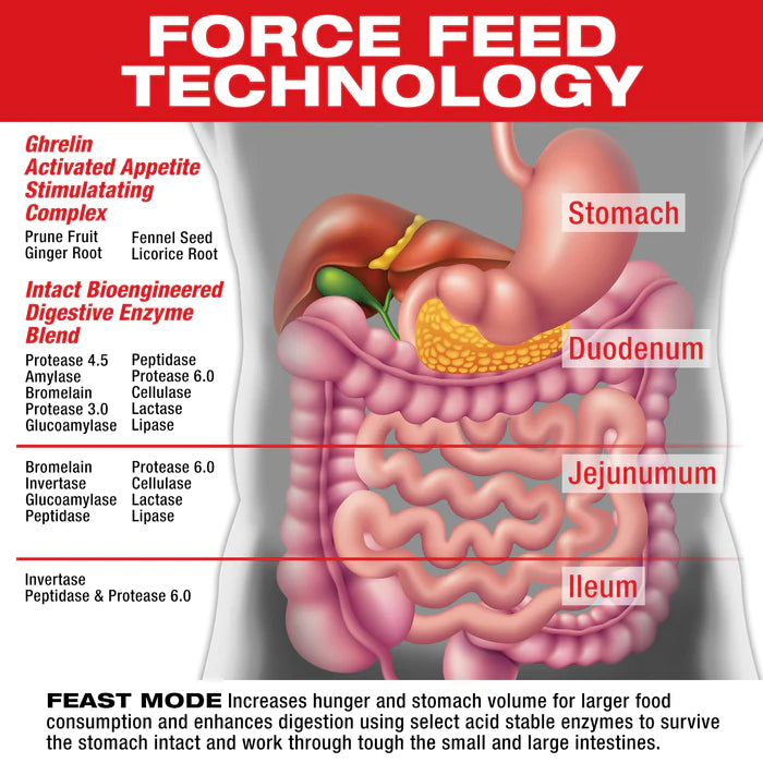 FEAST MODE