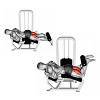 Thumbnail for Máquina femoral M5