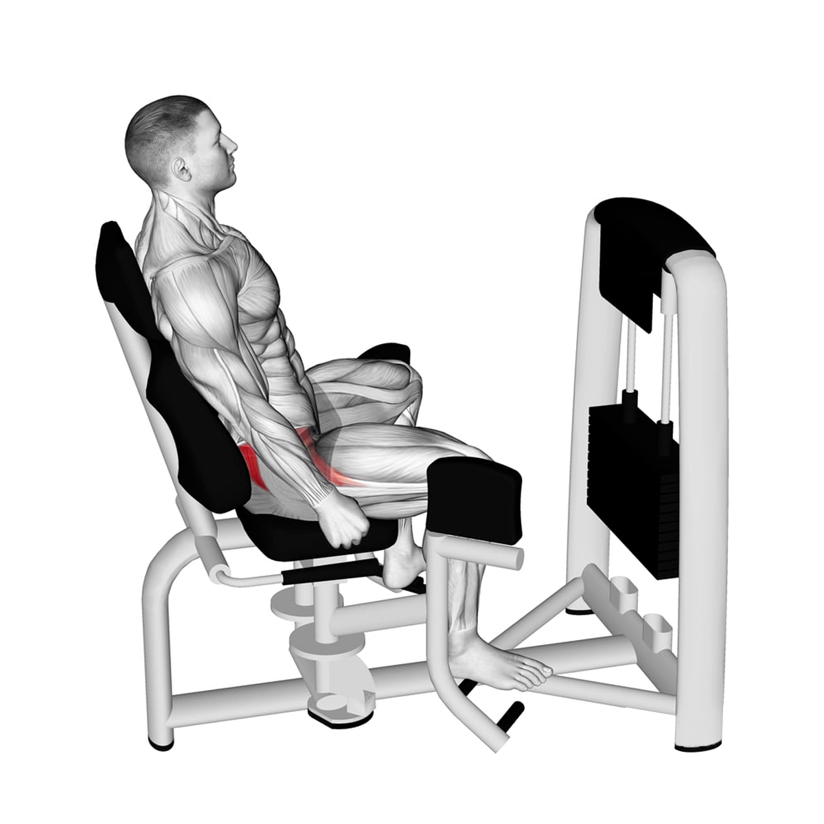 External abductor (M5)