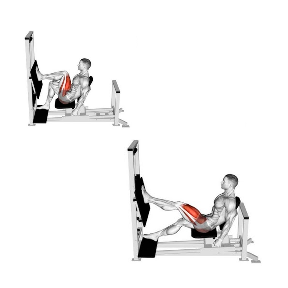 Prensa horizontal M5