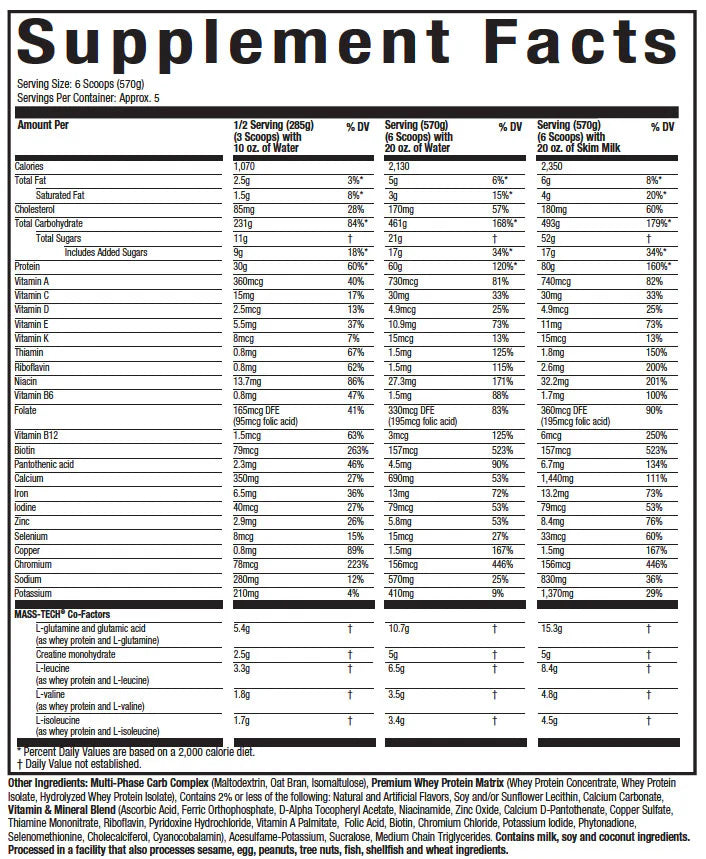 Mass-Tech Extreme 2000 - 6LB