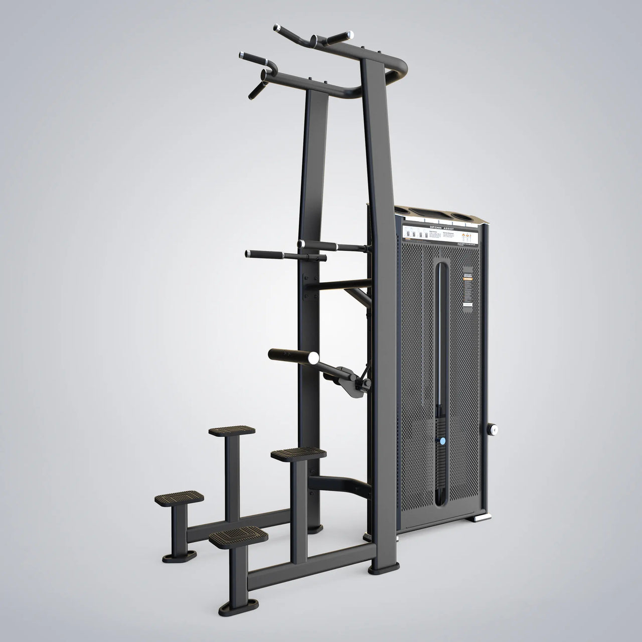 Dip Chin Assist Fusion Pro