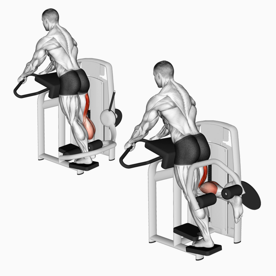 Standing Leg Curl en Bolivia - vista de apoyo para femoral de pie - Chelo Sports