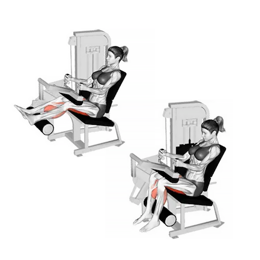 Máquina Femoral Sentado M5 en Bolivia - detalle de asiento y rodillos - Chelo Sports