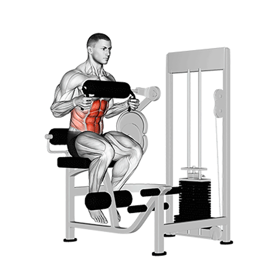 Máquina Abdominal M5 en Bolivia - detalle de apoyo y palanca - Chelo Sports