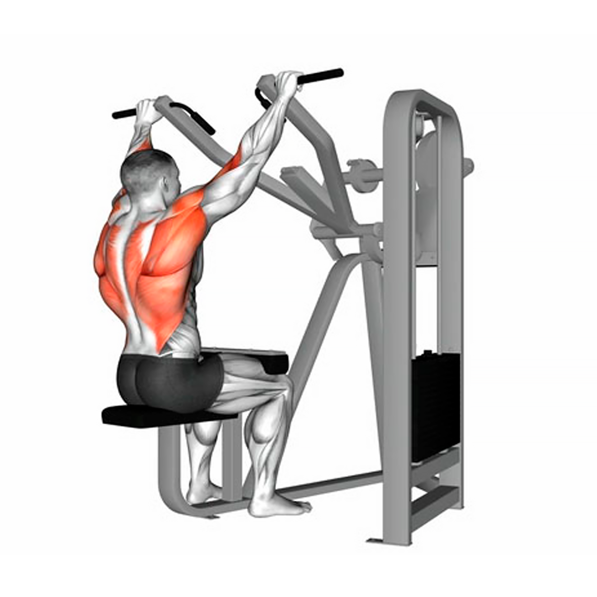 Máquina jalón al pecho - Lat pull down (M5)