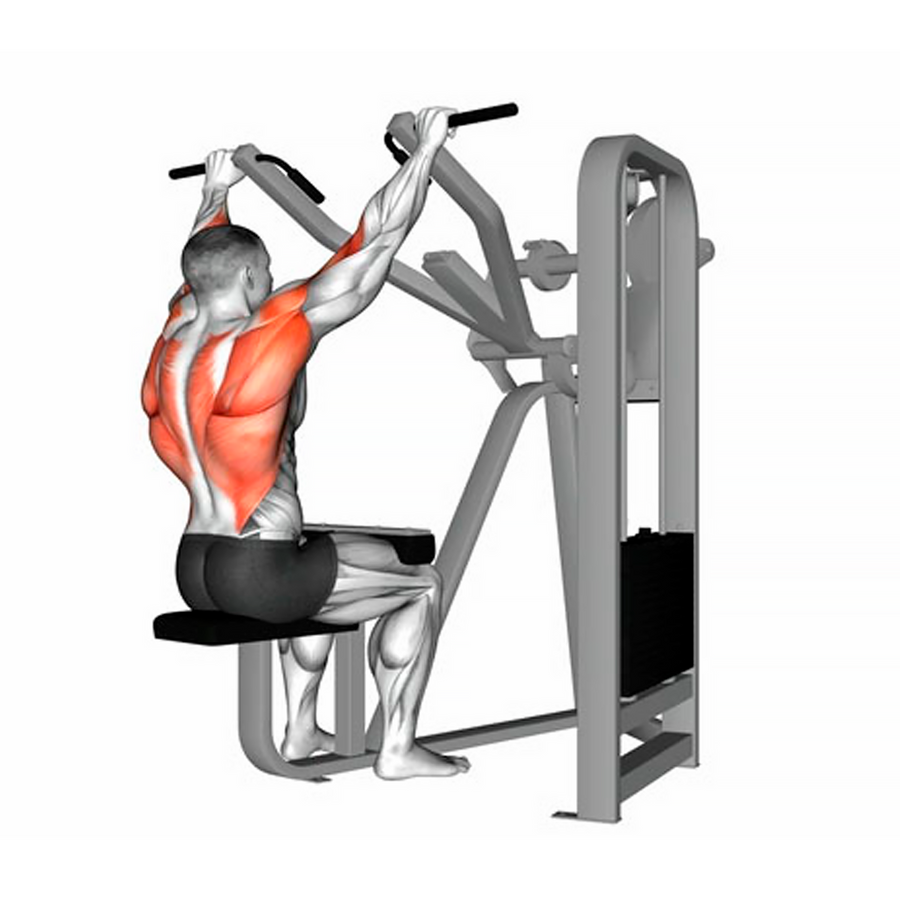 Máquina jalón al pecho - Lat pull down M5