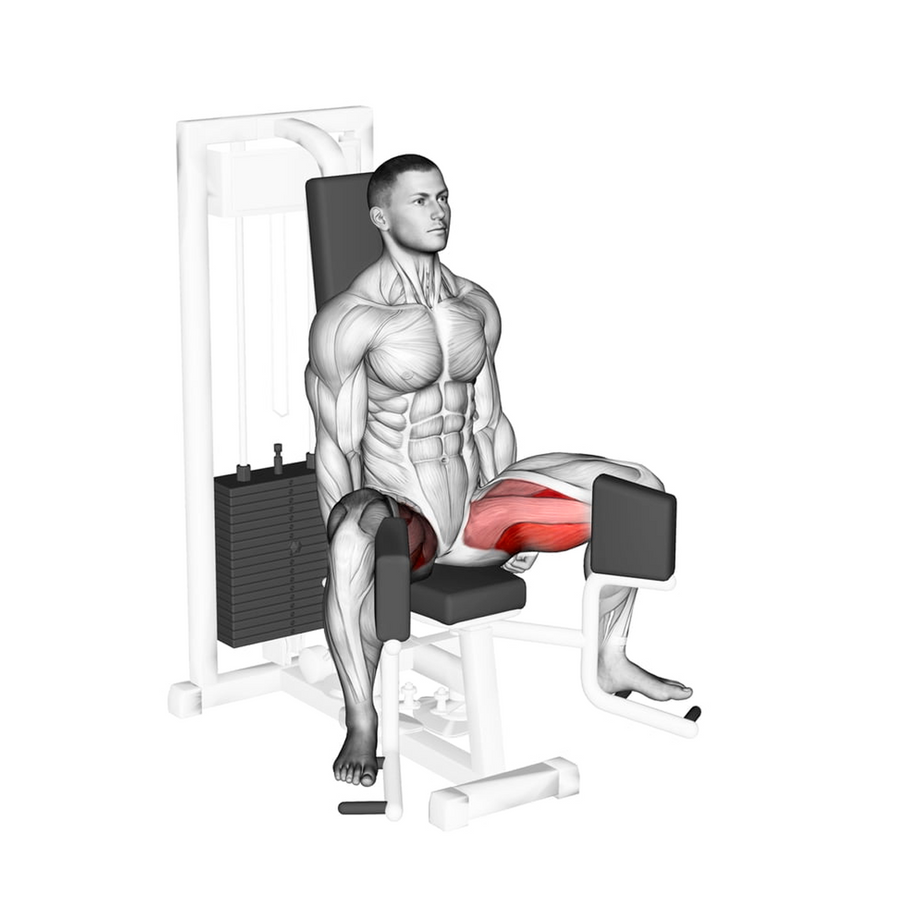 Máquina Abductor Interno M5 en Bolivia - vista lateral del asiento - Chelo Sports