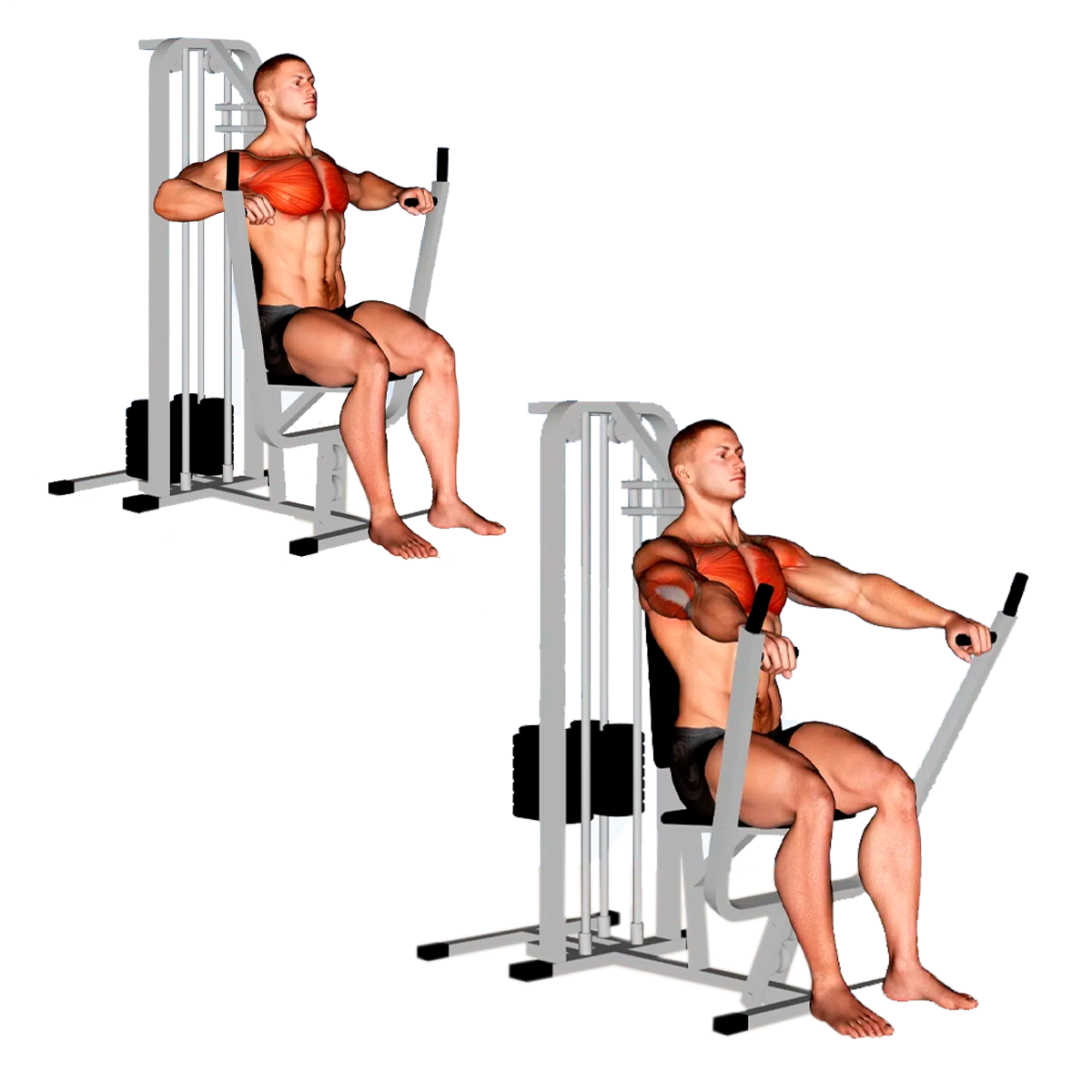 High Traffic Chest Machine (M5)