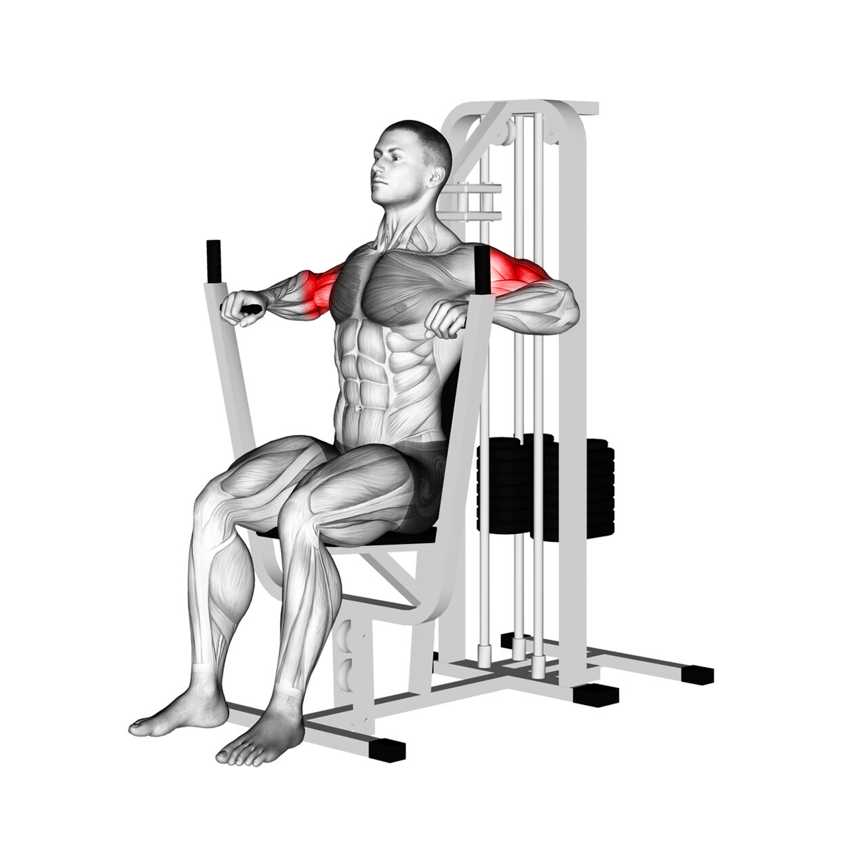 Triceps Machine (M5)