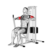 Thumbnail for Triceps Machine (M5)