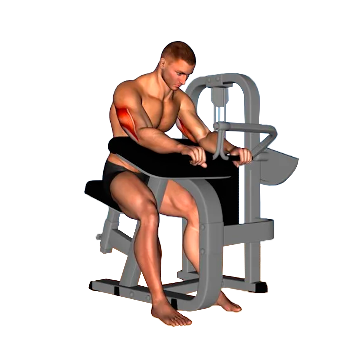 Biceps/triceps machine (dual M5)