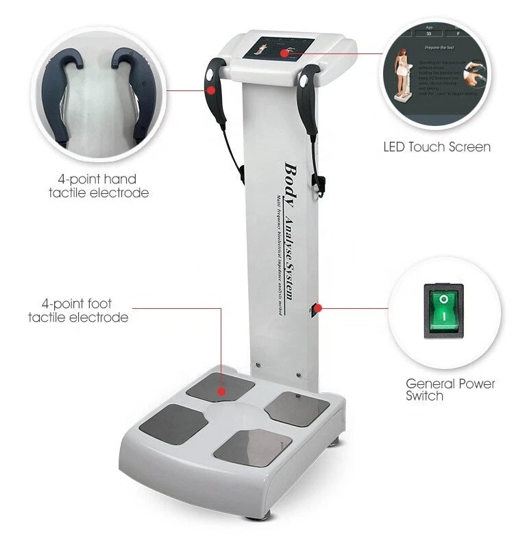 Body composition analyzer